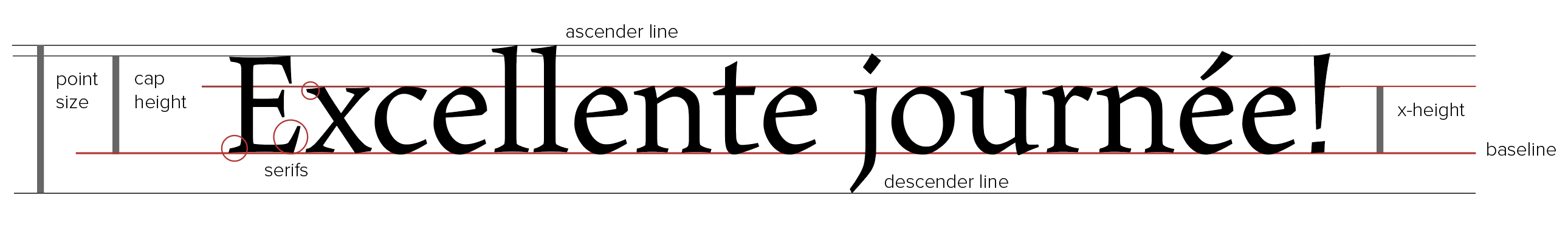 Profile of a serif font